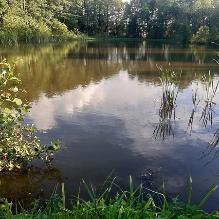 GołdapMarcinowka别墅 外观 照片