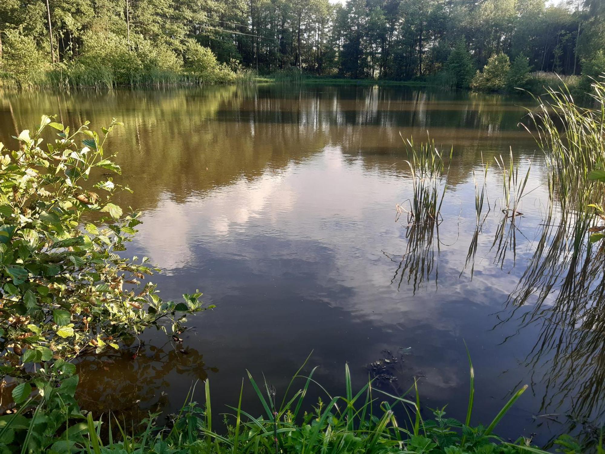 GołdapMarcinowka别墅 外观 照片