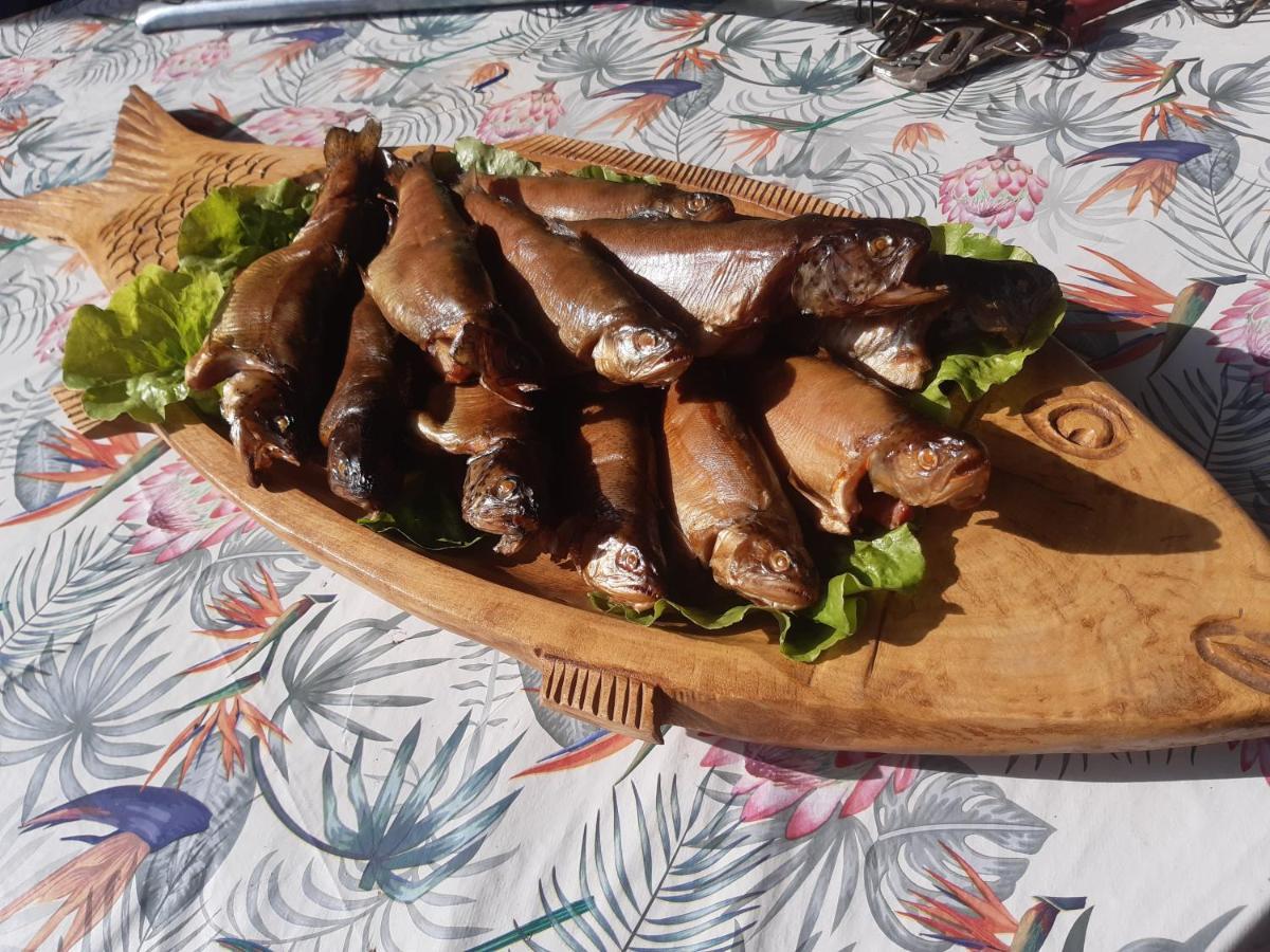 GołdapMarcinowka别墅 外观 照片